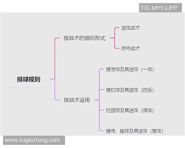 排球新手必看：轻松掌握节奏与技巧的全面入门指南