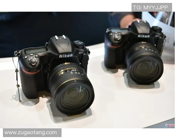 陈磊畅谈CSGO职业生涯与电竞未来展望的深度专访 陈磊畅谈CSGO职业生涯与电竞未来展望的深度专访