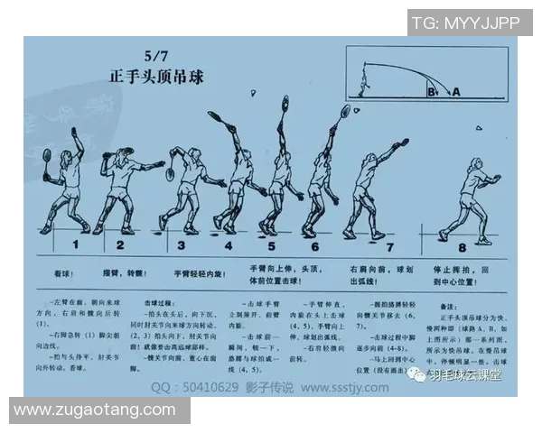 北京羽毛球队战术革新与转换打法深度解析 北京羽毛球队战术革新与转换打法深度解析