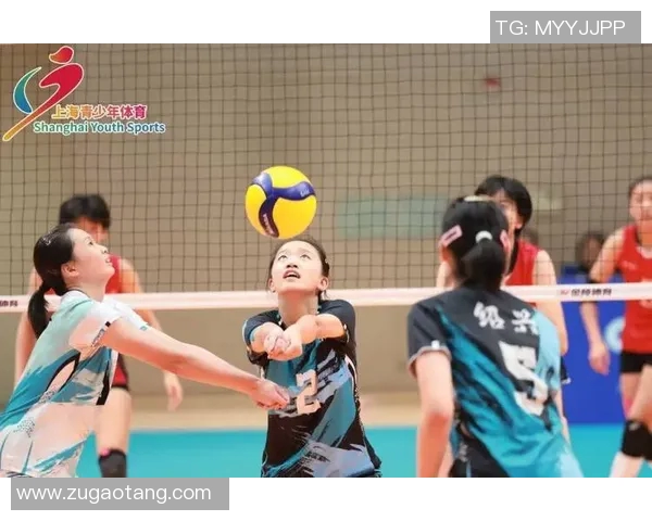 团结拼搏上海排球队如何通过团队协作提升竞技水平与战斗力 团结拼搏上海排球队如何通过团队协作提升竞技水平与战斗力