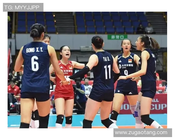 排球深度解析：西安排球队如何掌控比赛节奏与战术布局