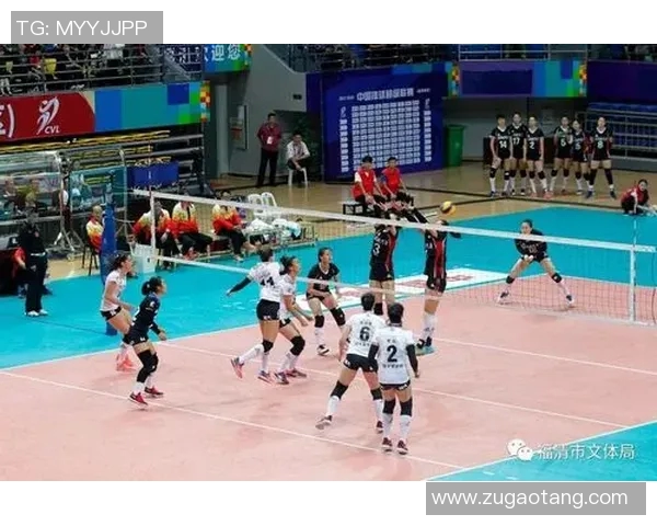 南京排球队反击之路：从挑战到辉煌的全景解读与展望