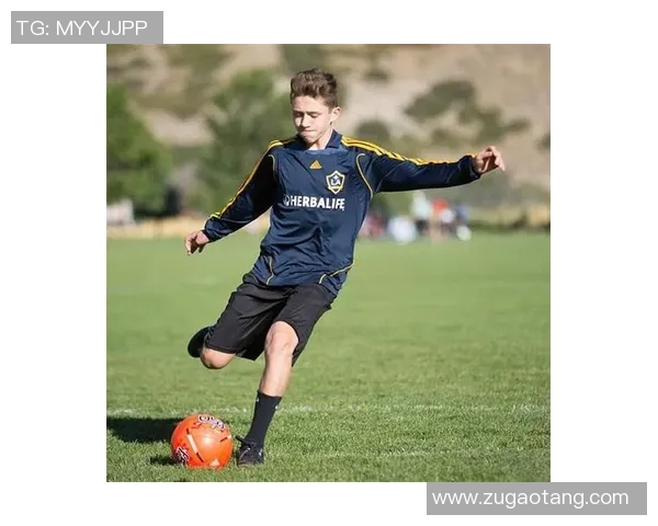 足球明星与动物的奇妙相似之处揭秘让你大开眼界的趣味观察 足球明星与动物的奇妙相似之处揭秘让你大开眼界的趣味观察