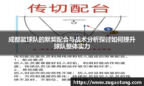 成都篮球队的默契配合与战术分析探讨如何提升球队整体实力
