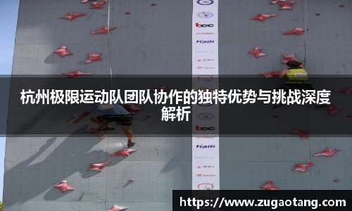 杭州极限运动队团队协作的独特优势与挑战深度解析