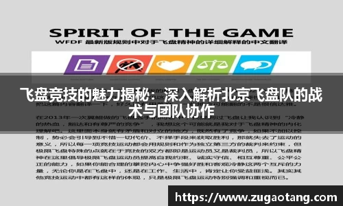 飞盘竞技的魅力揭秘：深入解析北京飞盘队的战术与团队协作