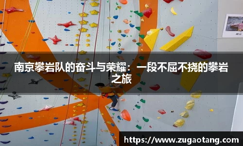 南京攀岩队的奋斗与荣耀：一段不屈不挠的攀岩之旅