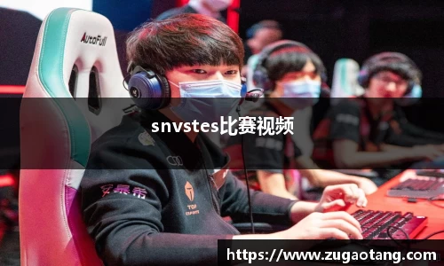 snvstes比赛视频